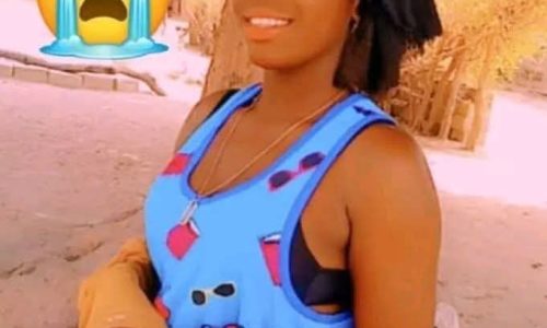 Drame à Badiouré : Amy Diémé succombe à une morsure de serpent