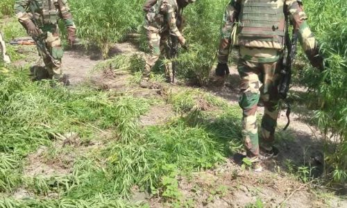 Nord Sindian : un militaire tué et six blessés lors d’une opération de l’armée