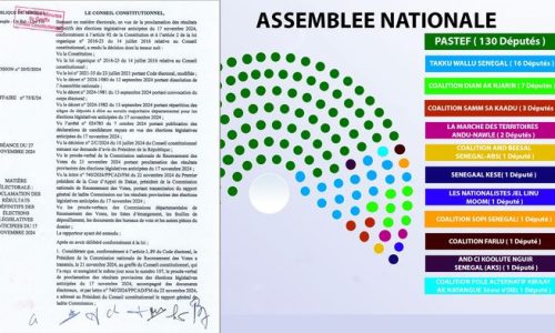 Élections législatives : voici les résultats définitifs proclamés par le Conseil constitutionnel