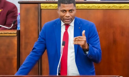 Togo : le Ministre Sena Alipui face aux députés : l’ambition de l’eau potable pour tous