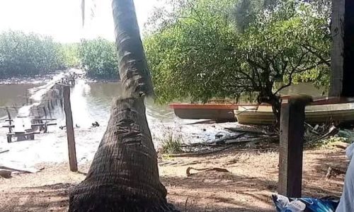 Niafourang : la dune qui protège tout un village face à l’océan en danger