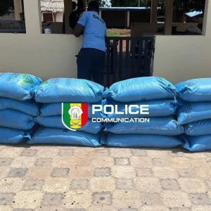 Frontière Sénégal-Guinée : une saisie massive de produits plastiques