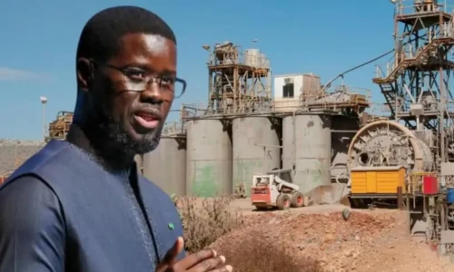 Kolda : Diomaye Faye lance un projet agro-industriel majeur pour la filière arachidière