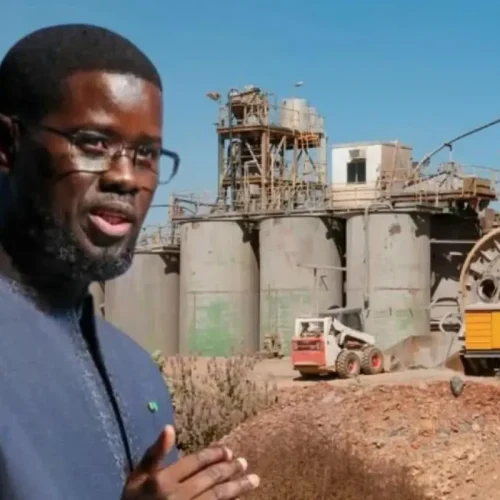 Kolda : Diomaye Faye lance un projet agro-industriel majeur pour la filière arachidière