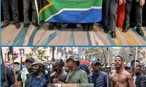 Afrique du Sud : entre excellence académique et tensions sociales persistantes