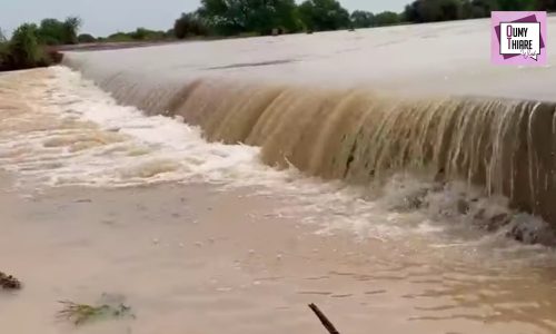 Détresse dans le Dande Mayoo (Nord) : quand le fleuve déborde, la vie s’arrête