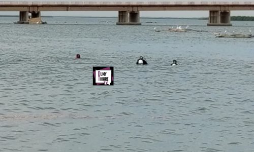 Drame à Ziguinchor : Un jeune porté disparu après une noyade à Goumel