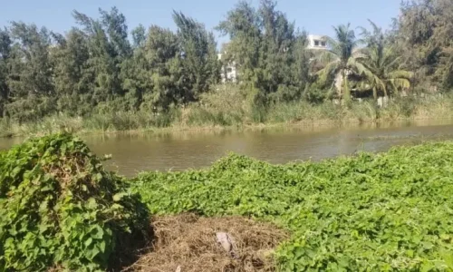 Lacs des Maristes : jusqu’où ira la dégradation ?