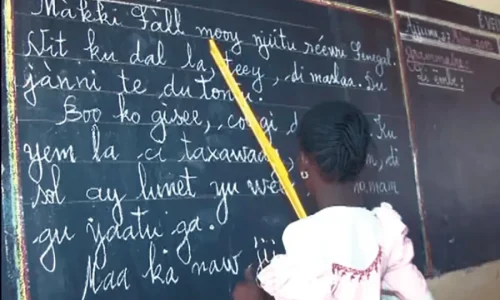 Mohebs : une nouvelle stratégie pour pérenniser l’enseignement bilingue