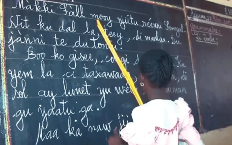 Mohebs : une nouvelle stratégie pour pérenniser l’enseignement bilingue