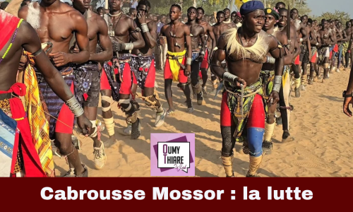 Cabrousse Mossor : la lutte traditionnelle au cœur de l’Ewaguéné de Signouné