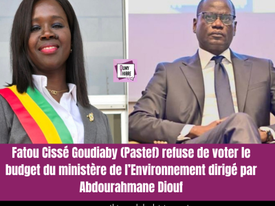 Fatou Cissé Goudiaby (Pastef) refuse de voter le budget du ministère de l’Environnement dirigé par Abdourahmane Diouf