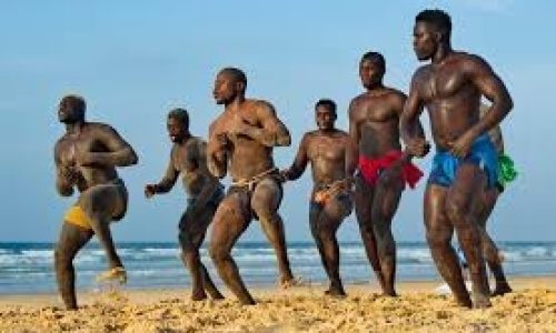 Vers la naissance de la Fédération sénégalaise de lutte