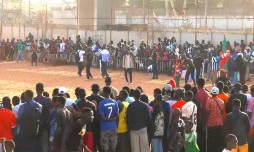 Lutte sénégalaise : Eumeu Sène en open press avant son choc contre Ada Fass