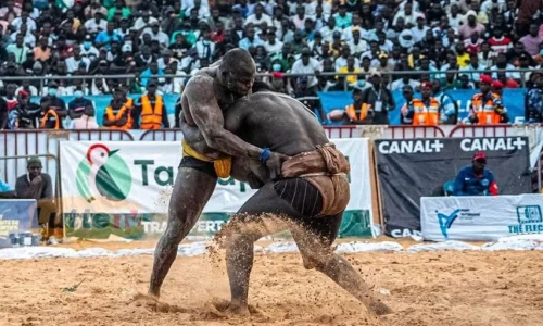 Lutte sénégalaise : un sacre historique et une audience record sur Canal+