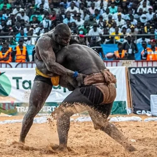Lutte sénégalaise : un sacre historique et une audience record sur Canal+