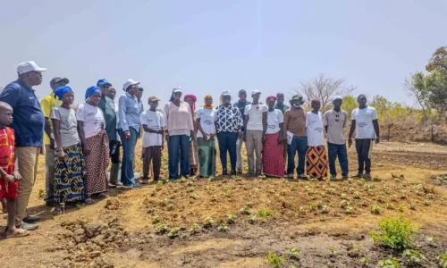 Kédougou : la Banque mondiale salue les avancées du projet SENRM à Bafoundou