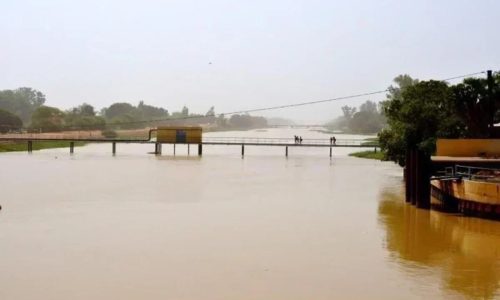 Crue du fleuve Sénégal : la vigilance renforcée à Podor