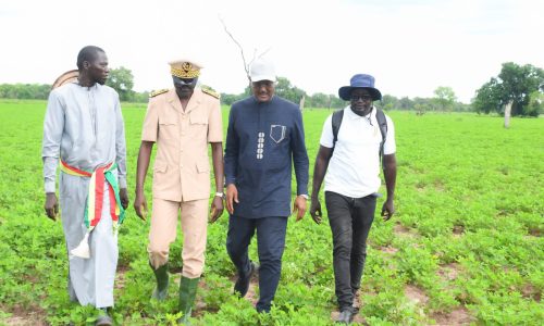 Campagne agricole 2026 : le ministre de l’Agriculture en tournée à Ziguinchor