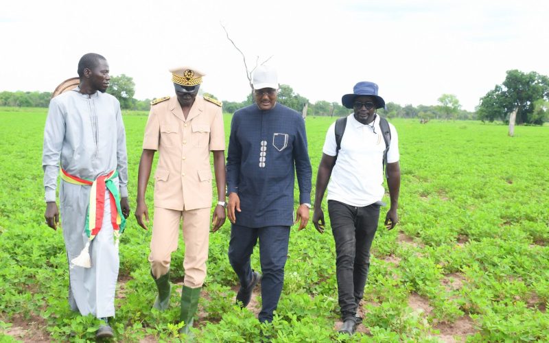Campagne agricole 2026 : le ministre de l’Agriculture en tournée à Ziguinchor