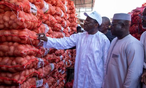 Le gel des importations d’oignons officiellement levé au Sénégal
