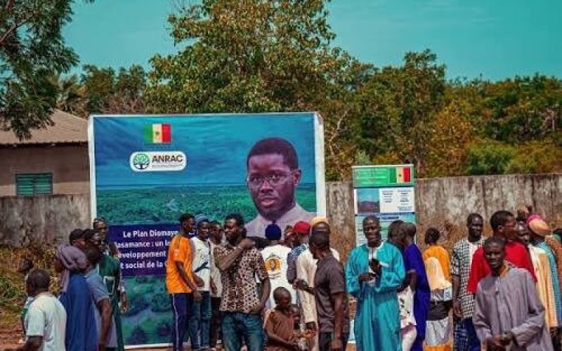 Plan Diomaye : le gouvernement accélère les projets en Casamance