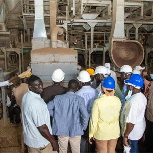 Kolda : la Sonacos annonce un complexe agro-industriel de 18,75 milliards FCFA