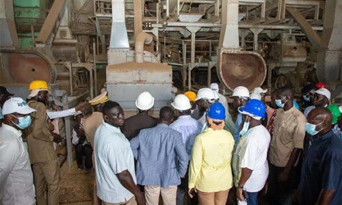 Kolda : la Sonacos annonce un complexe agro-industriel de 18,75 milliards FCFA