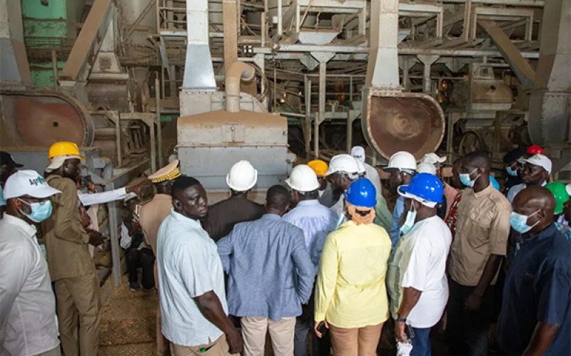 Kolda : la Sonacos annonce un complexe agro-industriel de 18,75 milliards FCFA