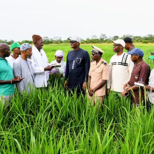 Kédougou : le ministre Cheikhou Oumar Bâ à la rencontre des producteurs