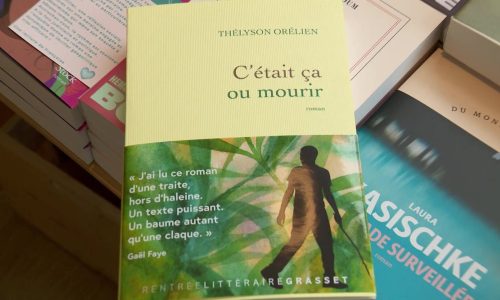Prix Goncourt 2026 : un roman retiré après des soupçons de plagiat et d’usage de l’IA