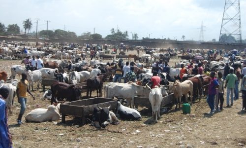 Burkina Faso suspend l’exportation du bétail pour protéger le marché national