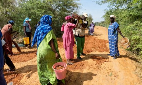 Podor : à Niandane, des femmes commerçantes se mobilisent pour réhabiliter une route abandonnée