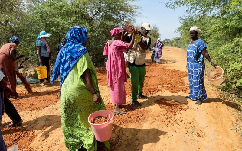 Podor : à Niandane, des femmes commerçantes se mobilisent pour réhabiliter une route abandonnée
