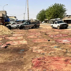 Touba : le potentiel inexploité de la filière des cuirs et peaux