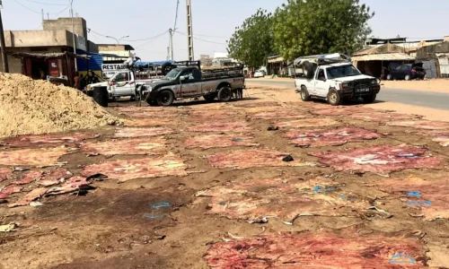 Touba : le potentiel inexploité de la filière des cuirs et peaux