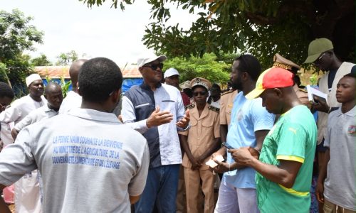 Kédougou : Cheikhou Oumar Bâ évalue l’état de la campagne agricole