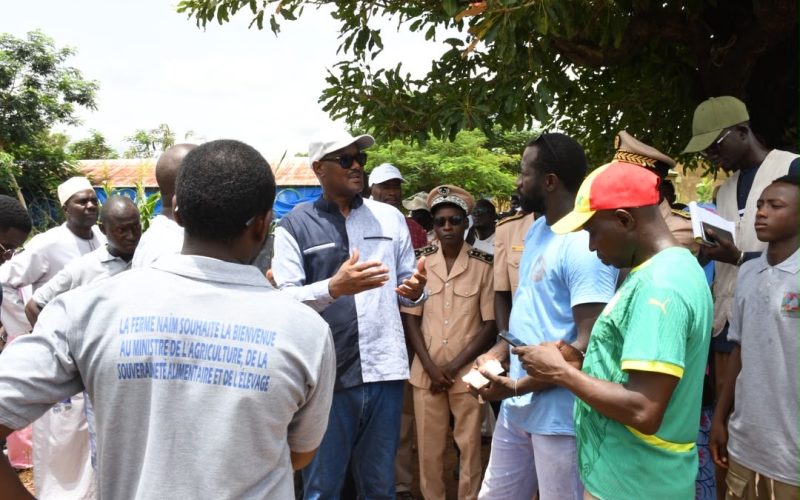 Kédougou : Cheikhou Oumar Bâ évalue l’état de la campagne agricole
