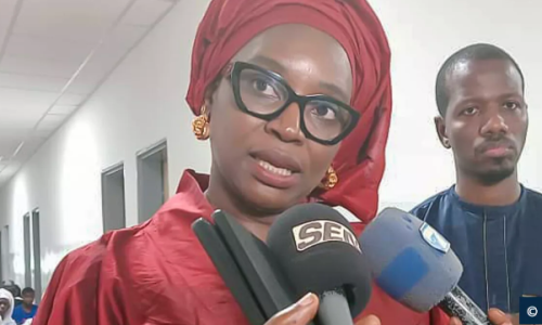 Le Sénégal vers l’Allogreffe : Une Lueur d’Espoir pour les Patients Drépanocytaires