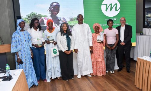 Dakar : les femmes au cœur du dynamisme de l’agriculture familiale