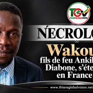 NÉCROLOGIE — Wakou, figure de la culture diola, est décédé en France