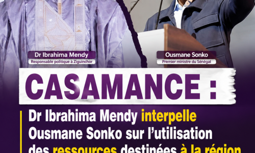 Casamance : Dr Ibrahima Mendy interpelle Ousmane Sonko sur l’utilisation des ressources destinées à la région