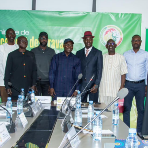 FSF : le Comex se réunit à Louga pour préparer les prochaines échéances du football sénégalais