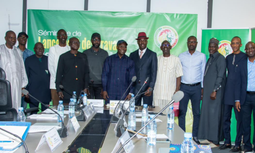 FSF : le Comex se réunit à Louga pour préparer les prochaines échéances du football sénégalais