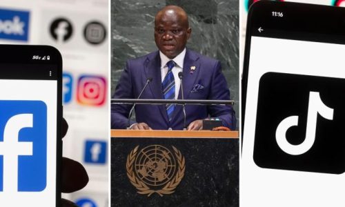 Gabon : après huit mois de suspension, les réseaux sociaux de nouveau accessibles