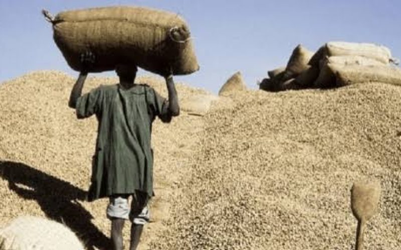 Le gouvernement renforce la sécurisation de la commercialisation de l’arachide