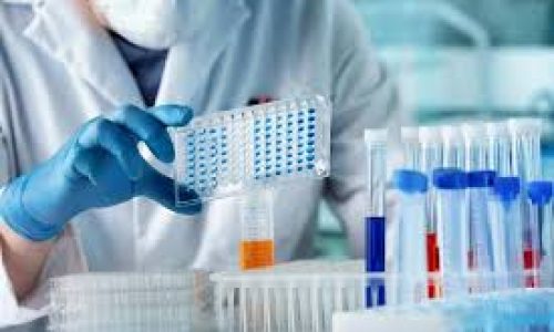 Révolution médicale : la Chine crée une colle qui répare les os en 3 minutes