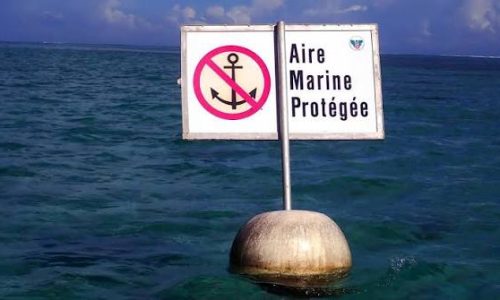 IMPAC6 : Dakar accueillera le premier congrès africain sur les aires marines protégées