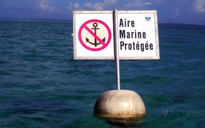 IMPAC6 : Dakar accueillera le premier congrès africain sur les aires marines protégées