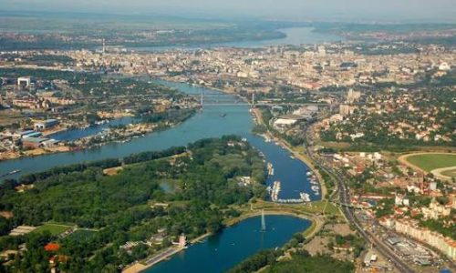 Belgrade, la capitale qui bourdonne : comment les abeilles ont conquis la ville ?